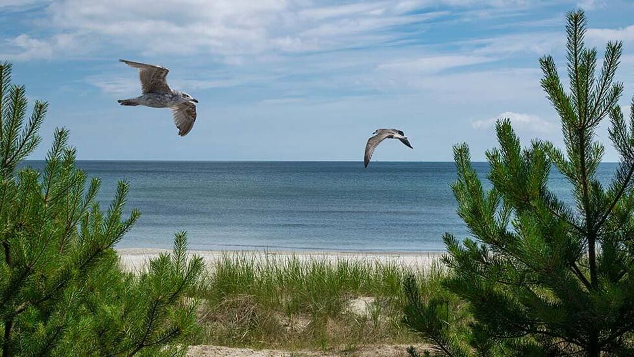 Strand Rügen